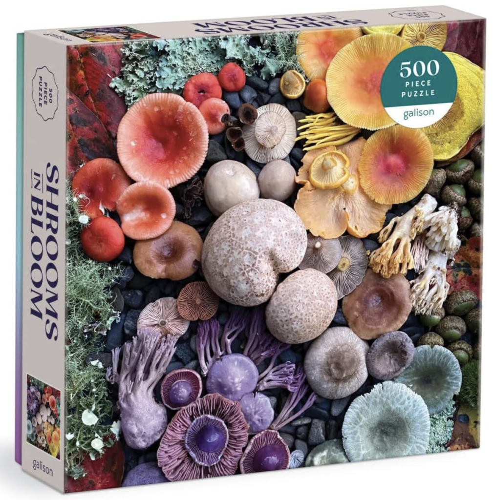 Shrooms in bloom